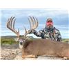 Image 2 : Texas Whitetail for 2 - KickBACK Ranch