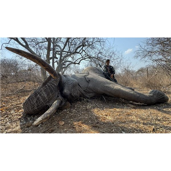 Tanzania Elephant Hunt - Kilombero North Safaris