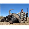 Image 1 : 6-Day Buffalo Hunt - Uitkyk Safaris