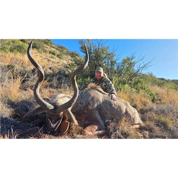 Cape Kudu for 2 Hunters - Geroco Safaris