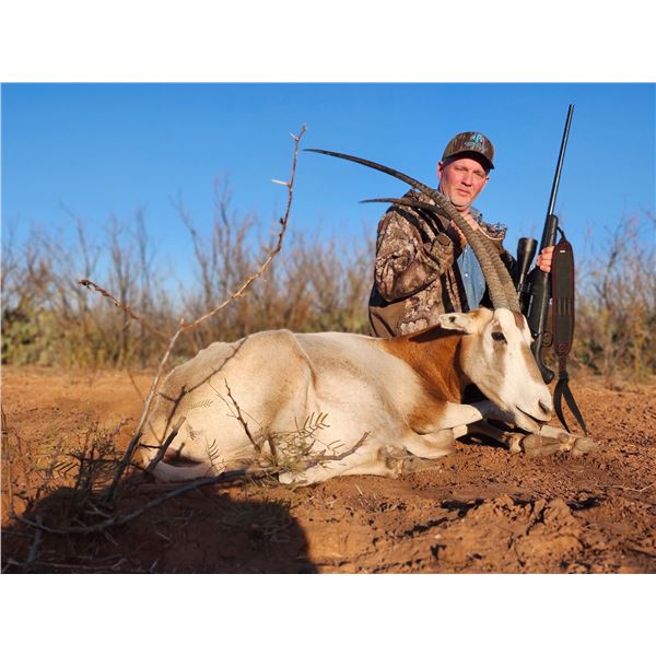 Scimitar Oryx Hunt - Lucky B's Ranch