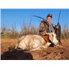 Image 1 : Scimitar Oryx Hunt - Lucky B's Ranch