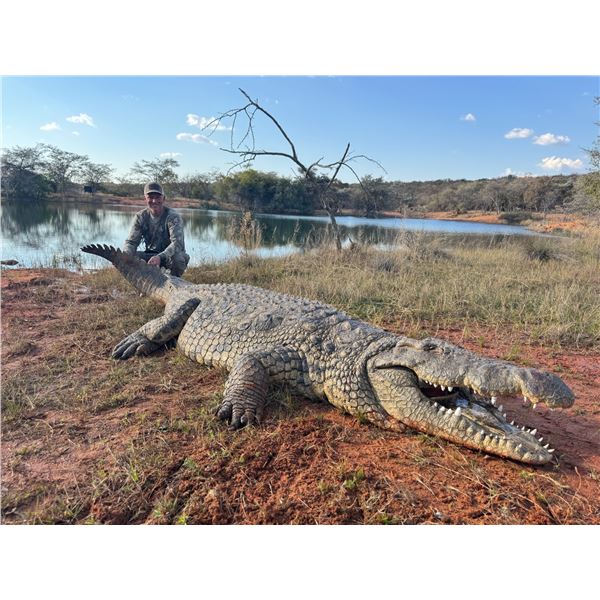 Crocodile and Plains Game - Excellent Safaris