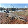 Image 1 : Crocodile and Plains Game - Excellent Safaris