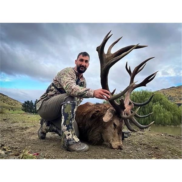 New Zealand Hunt - Alps Outfitters