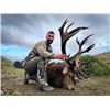 Image 1 : New Zealand Hunt - Alps Outfitters