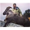 Image 2 : New Zealand Hunt - Alps Outfitters
