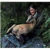 Image 3 : New Zealand Hunt - Alps Outfitters