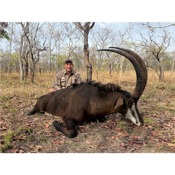 Roosevelt Sable - Mashambanzou Safaris