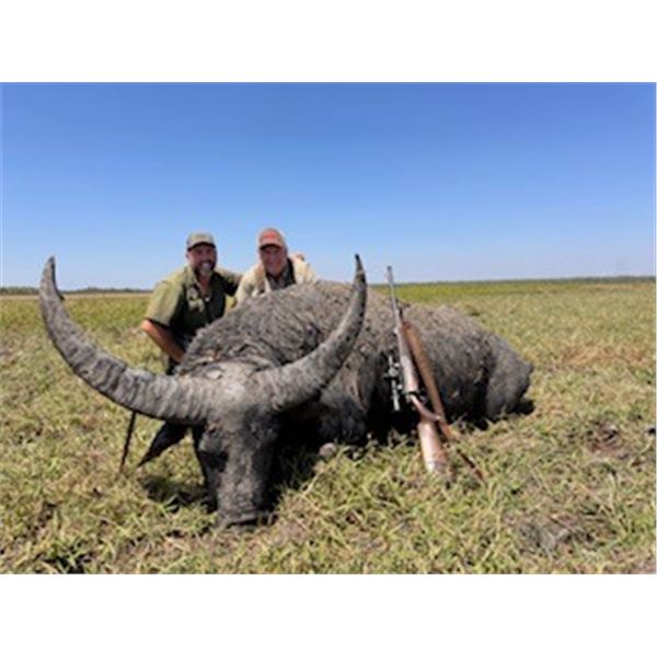 NT Buffalo - Goodhand Outback Experience