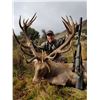 Image 1 : Silver Class Red Stag - Hunt New Zealand