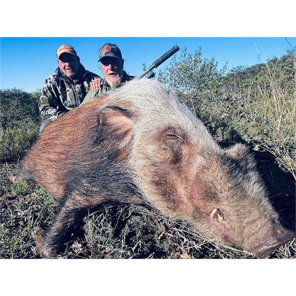 Night Critters and Fishing - Kowie River Safaris