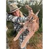 Image 2 : Night Critters and Fishing - Kowie River Safaris