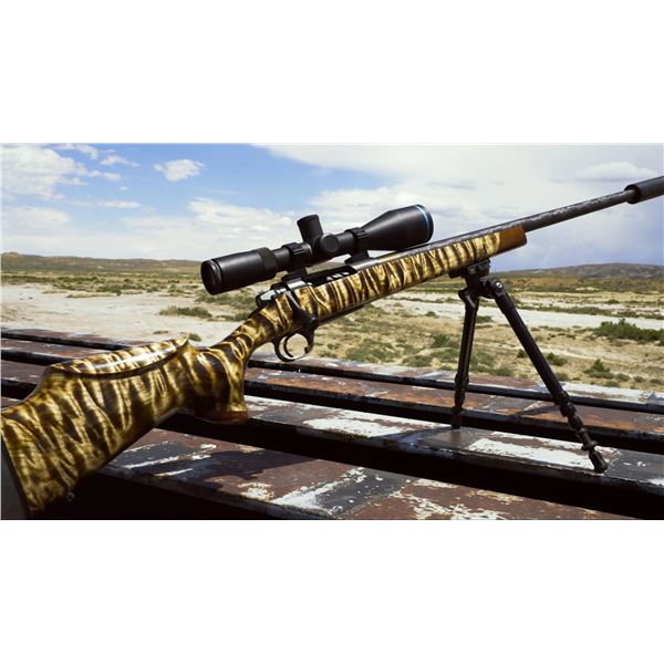 Beautiful Custom Rifiles Red Desert Rifles Full Custom Rifle with 2 Day Shooting Instruction
