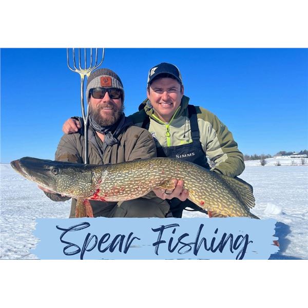 Spearing Trophy Pike Through the Ice