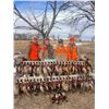 Image 1 : South Dakota Pheasant Hunt for 4