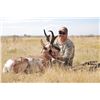 Image 1 : Nebraska Private Land Antelope Hunt