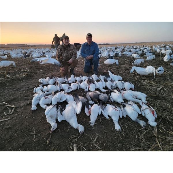 11-Person Conservation Snow Goose Hunt in South Central Nebraska