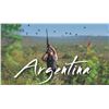 Image 1 : Argentina Dove Hunt for 2 Hunters