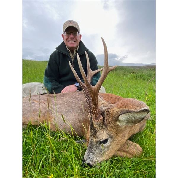 Scottish Roebuck Hunt & Castle Touring Experience