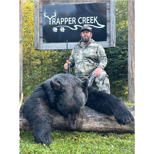 Black Bear Hunt in Saskatchewan