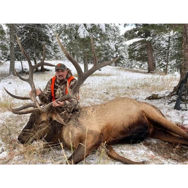 Montana Backcountry Elk Hunt