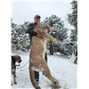 Image 2 : HUNT BIG MOUNTAIN LIONS WITH THE BEST!