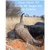 Image 17 : 7 DAYS / 7 NIGHTS KALAHARI 5 ANIMAL TROPHY WILDLIFE CONSERVATORY HUNT