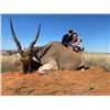 Image 23 : 7 DAYS / 7 NIGHTS KALAHARI 5 ANIMAL TROPHY WILDLIFE CONSERVATORY HUNT