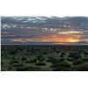 Image 4 : 7 DAYS / 7 NIGHTS KALAHARI 5 ANIMAL TROPHY WILDLIFE CONSERVATORY HUNT
