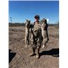 Image 19 : 2026/2027 - TEXAS VARMINT TRAPPING FOR 2 HUNTERS