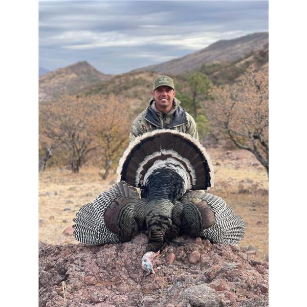 SONORA MEXICO GOULD’S TURKEY HUNT FOR TWO HUNTERS - 5 Days