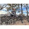 Image 2 : SONORA MEXICO GOULD’S TURKEY HUNT FOR TWO HUNTERS - 5 Days