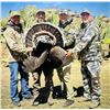Image 4 : SONORA MEXICO GOULD’S TURKEY HUNT FOR TWO HUNTERS - 5 Days