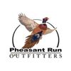 Image 9 : TWO-DAY PHEASANT HUNT FOR 4!