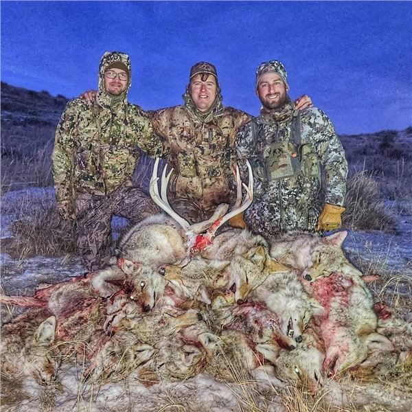 COYOTE CRAZE COLLEGE (INCLUDES RIFLE!)