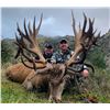 Image 1 : NEW ZEALAND HUNT FOR 2 HUNTERS & 2 NON-HUNTERS FOR A 400 SCI CLASS RED STAG