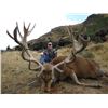 Image 4 : NEW ZEALAND HUNT FOR 2 HUNTERS & 2 NON-HUNTERS FOR A 400 SCI CLASS RED STAG