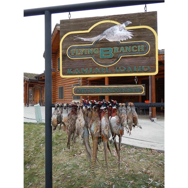 LATE SEASON 2 DAYS / 3 NIGHTS UPLAND HUNT FOR 3