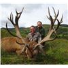 Image 5 : HILL STAG IN SCOTTISH HIGHLANDS!
