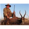 Image 1 : 10 DAY SOUTH AFRICAN SAFARI - 2 X HUNTERS (1 X 1) IN LIMPOPO PROVIDENCE