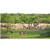 Image 2 : TEXAS LUXURY LODGE 4 ANIMAL HUNT FOR 1 HUNTER, 1 OBSERVER