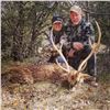 Image 4 : TEXAS LUXURY LODGE 4 ANIMAL HUNT FOR 1 HUNTER, 1 OBSERVER