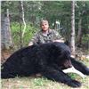 Image 6 : CANADA, NEW BRUNSWICK SPRING OR FALL BLACK BEAR HUNT FOR 2