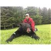 Image 7 : CANADA, NEW BRUNSWICK SPRING OR FALL BLACK BEAR HUNT FOR 2