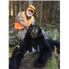 Image 9 : CANADA, NEW BRUNSWICK SPRING OR FALL BLACK BEAR HUNT FOR 2