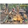 Image 2 : NEVADA AREA 231 AND 242 LANDOWNER DEER TAG WITH GUIDE SERVICES
