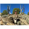 Image 3 : NEVADA AREA 231 AND 242 LANDOWNER DEER TAG WITH GUIDE SERVICES