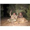 Image 5 : NEVADA AREA 231 AND 242 LANDOWNER DEER TAG WITH GUIDE SERVICES