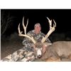 Image 6 : NEVADA AREA 231 AND 242 LANDOWNER DEER TAG WITH GUIDE SERVICES